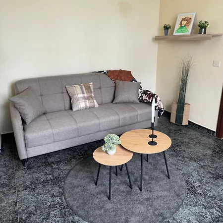 Nidal De Nubes 伊科德·德·洛斯·维诺斯